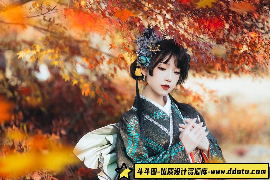 秋桜 -摄影参考审美提升 [15P-9.04 MB]-斗斗图