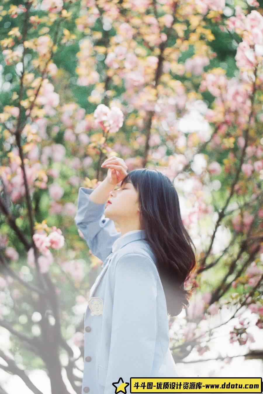 夏の花 -摄影参考审美提升 [9P-84.48 MB]