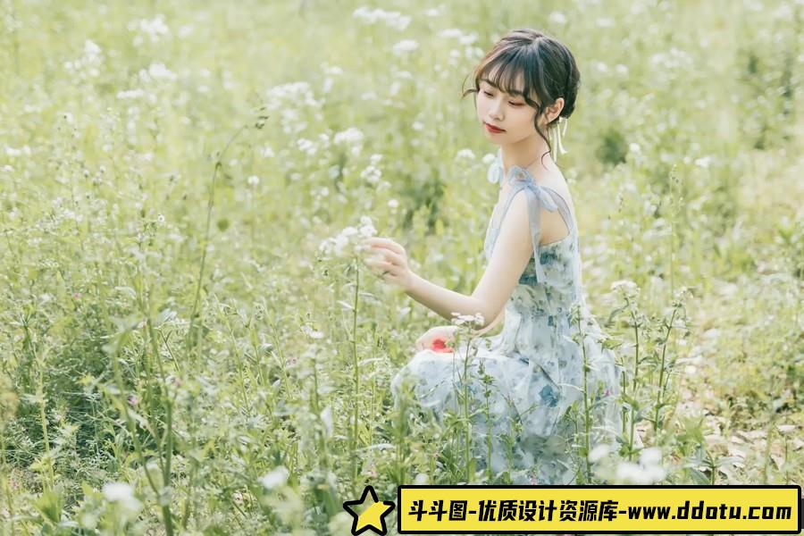 小白花 -摄影参考审美提升 [15P-95.25 MB]