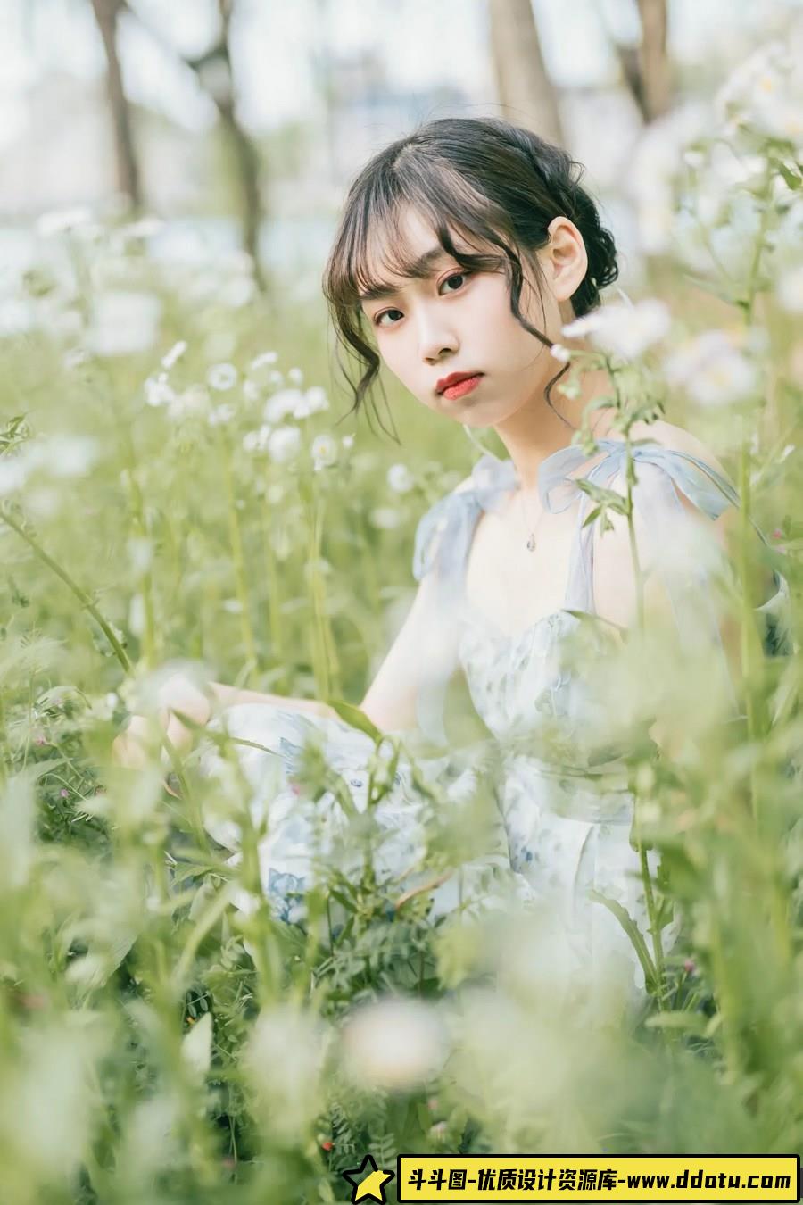 小白花 -摄影参考审美提升 [15P-95.25 MB]