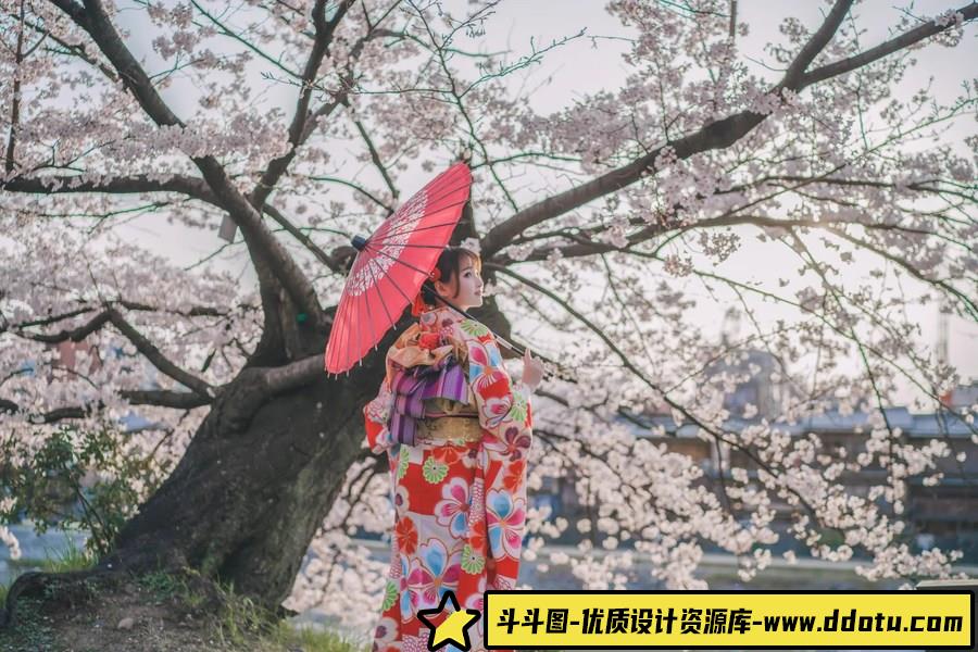 鸭川傍晚时の樱花 -摄影参考审美提升 [12P-82.53 MB]-斗斗图