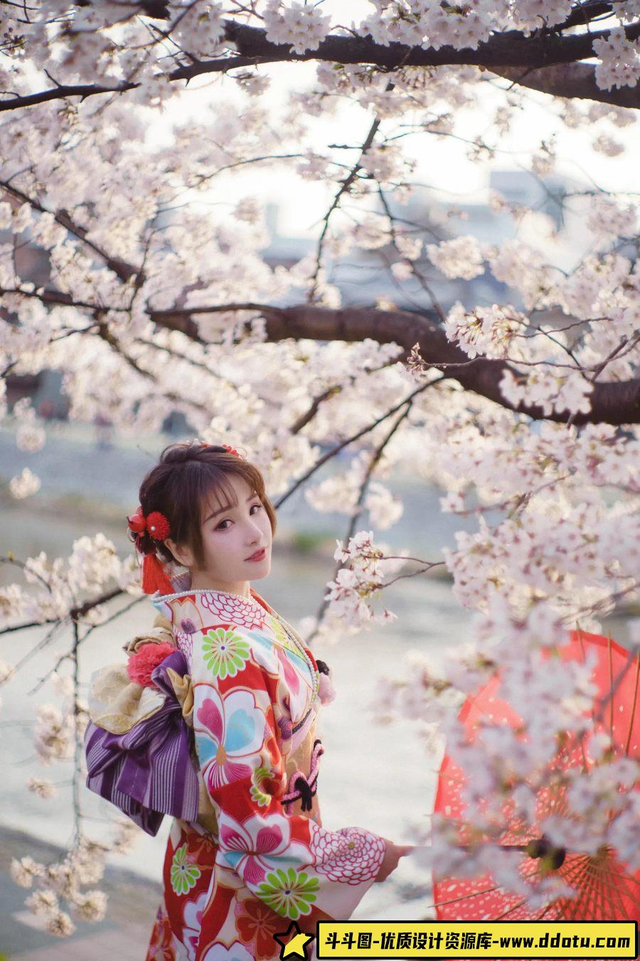 鸭川傍晚时の樱花 -摄影参考审美提升 [12P-82.53 MB]