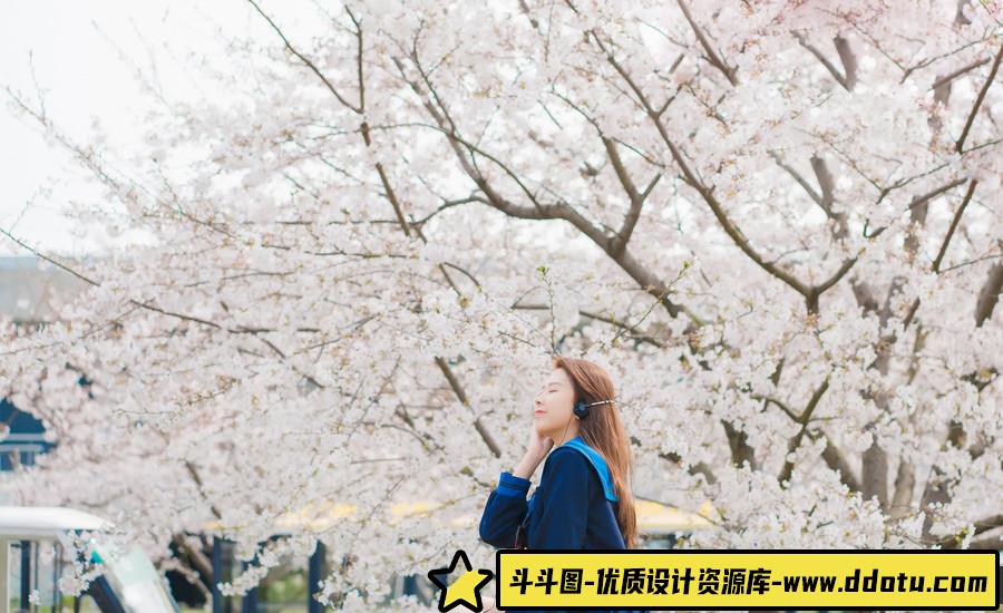 樱花粉的浪漫 -摄影参考审美提升 [32P-206.87 MB]-斗斗图