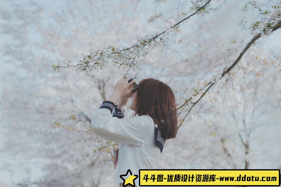 樱花日记 -摄影参考审美提升 [23P-43.95 MB]