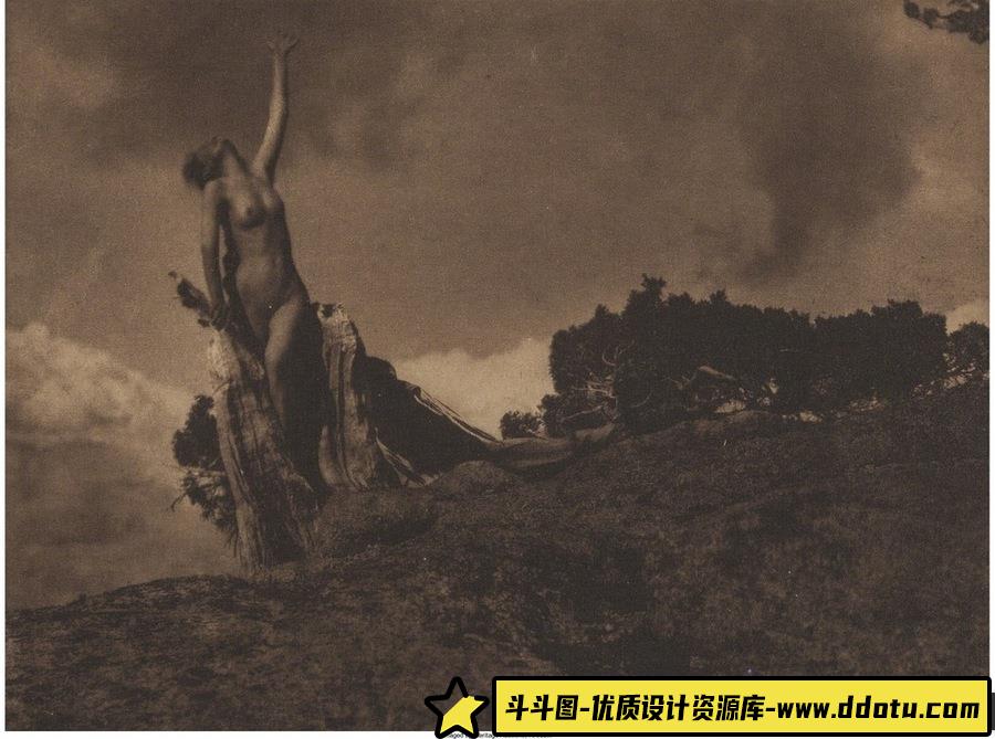 大师作品集-Alfred Stieglitz [77.68 MB]-摄影参考审美提升-斗斗图