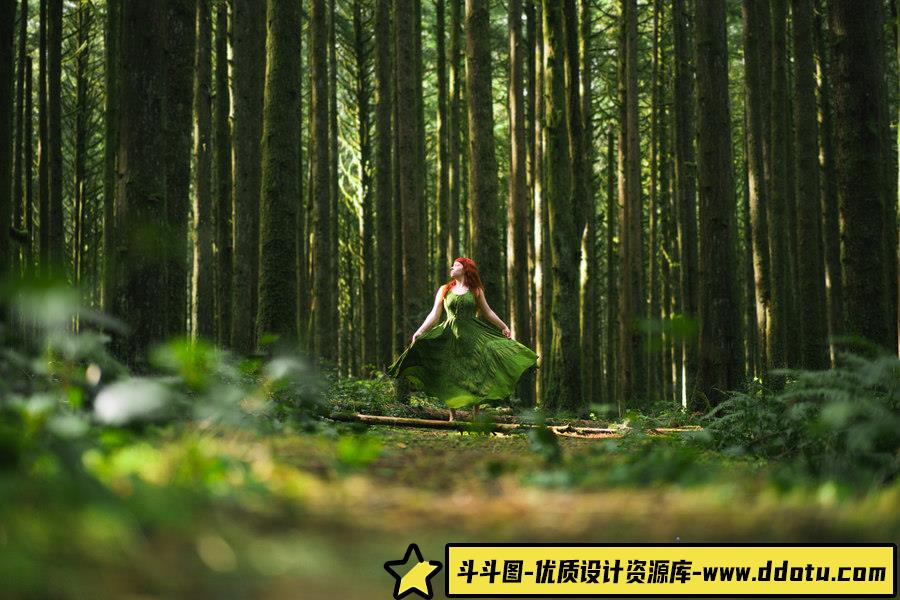 大师作品集-Elizabeth Gadd [704P-382.21 MB]-摄影参考审美提升-斗斗图