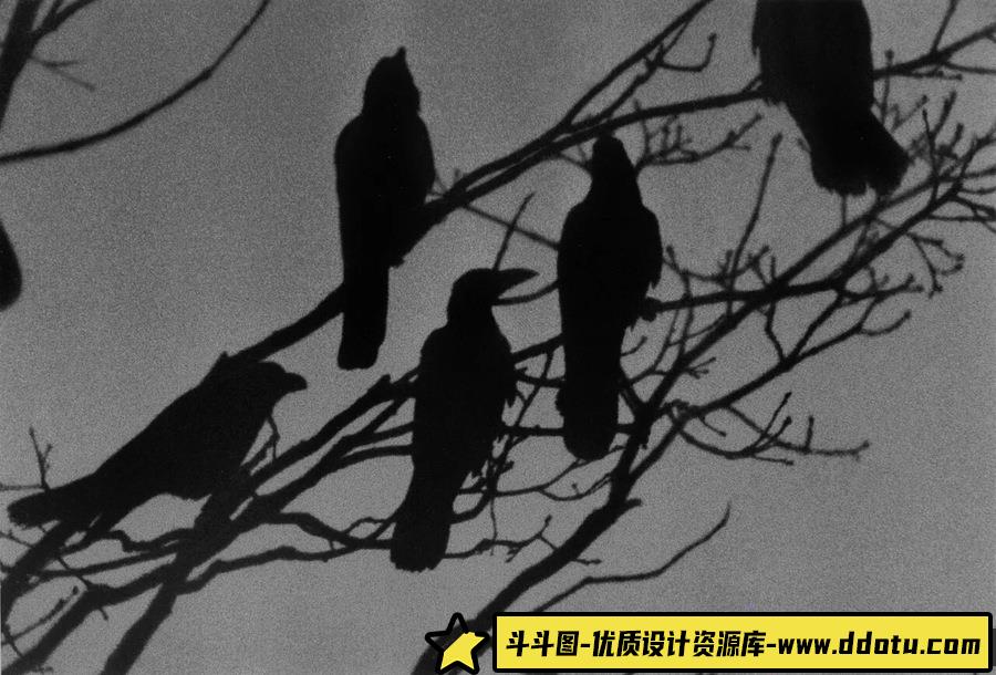 大师作品集-深濑昌久 鸦 [65P-37.8 MB]-摄影参考审美提升-斗斗图