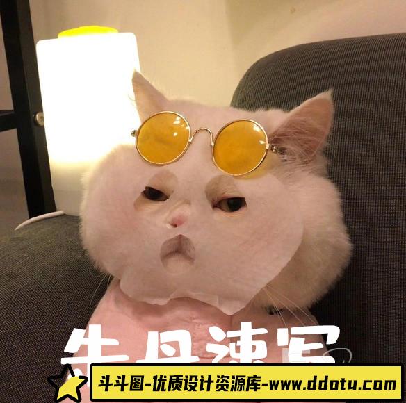朱丹速写基础课【画质一般】-斗斗图