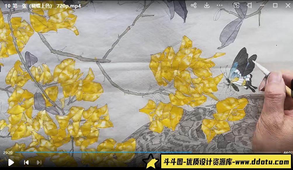 李海霞2022唯美国展技法工笔画孔雀三角梅【画质高清只有视频】