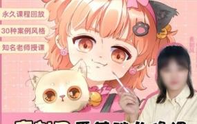 麦刻风2022零基础头像课ipad入门商业插画接单【画质高清只有视频】-斗斗图