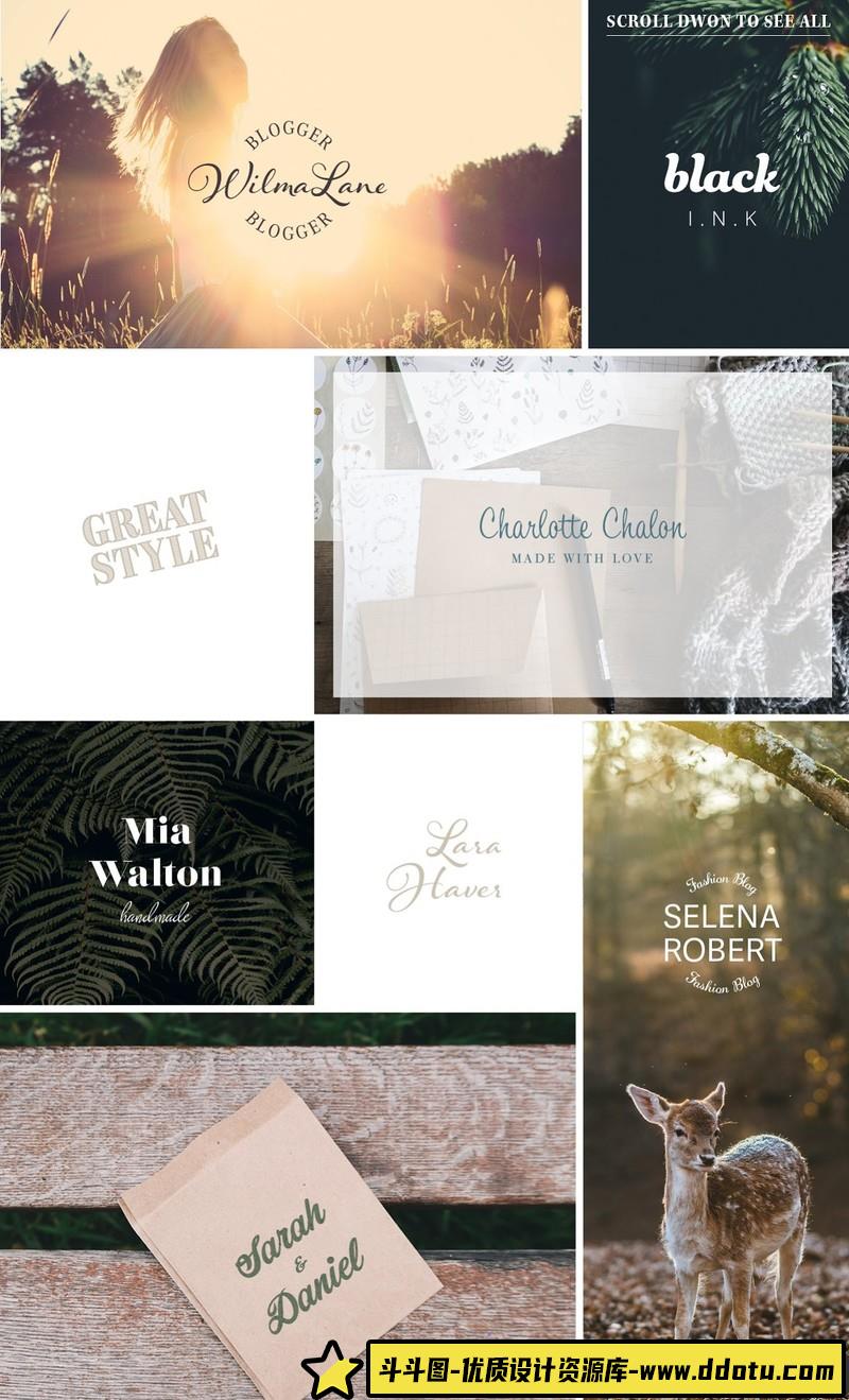 [艺术字体]640个网站,博客,时尚,杂志,沙龙,美容院,摄影预制LOGO标志徽标超级包