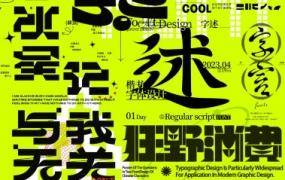 付顽童商业字体设计第16期2022年12月结课【画质还可以只有视频】-斗斗图