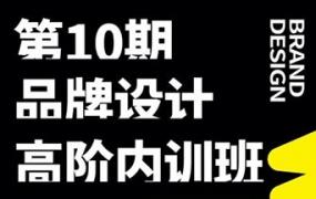 卢帅2022第十期品牌设计高阶内训班【画质不错有素材】-斗斗图