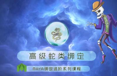 YA绑定进阶之高级蛇类绑定-斗斗图