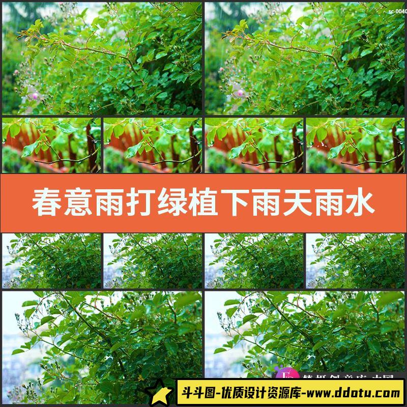 春意雨打绿植实拍视频素材下雨天雨水打湿植物固定镜头高清拍-斗斗图