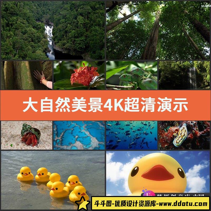 大自然美景4K超清演示片测试片森林女孩植物花卉海洋生物爬行动物-斗斗图