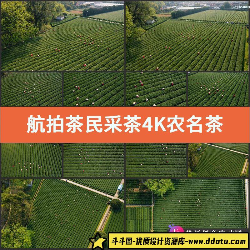 航拍茶民采茶4K视频素材实拍农名茶农耕作收获场景拍田园生活-斗斗图