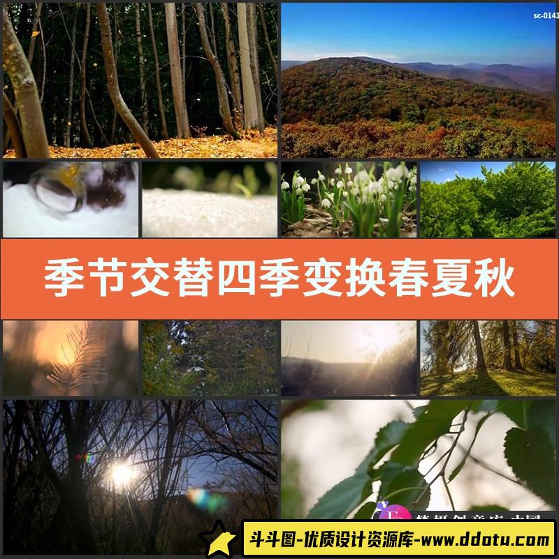 季节交替四季变换视频素材春夏秋冬天气气候变化植物丛林延时-斗斗图