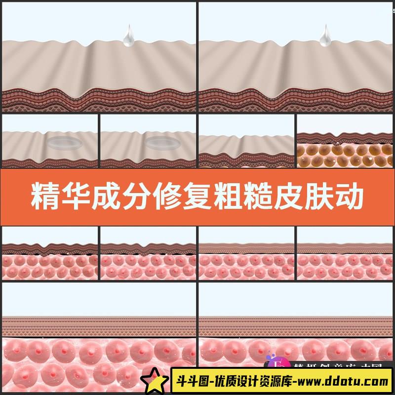 精华成分修复粗糙皮肤动画视频素材化妆品医学玻尿酸真皮细胞代谢-斗斗图
