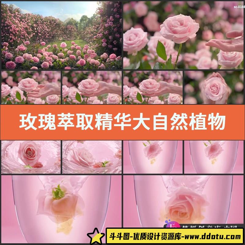 玫瑰萃取精华视频素材大自然植物提取补水美白分子美容护肤品短片-斗斗图