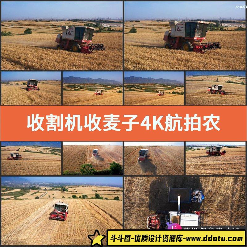 收割机收麦子4K航拍视频素材农业农作物农田庄稼粮食金色麦穗麦芒-斗斗图