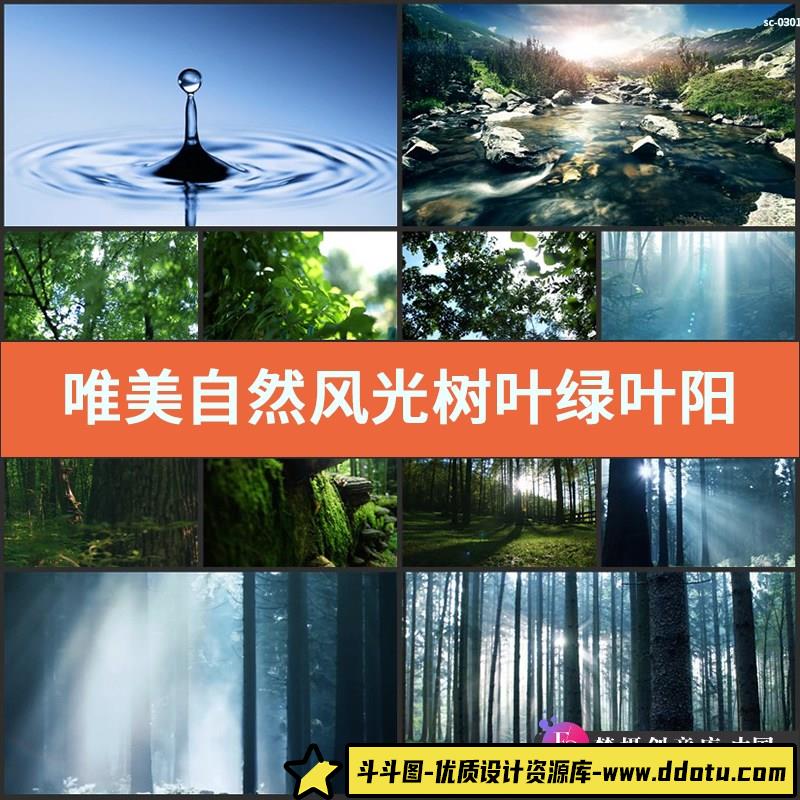唯美自然风光树叶绿叶阳光照进树林光线透过树叶高清实拍视频素材-斗斗图