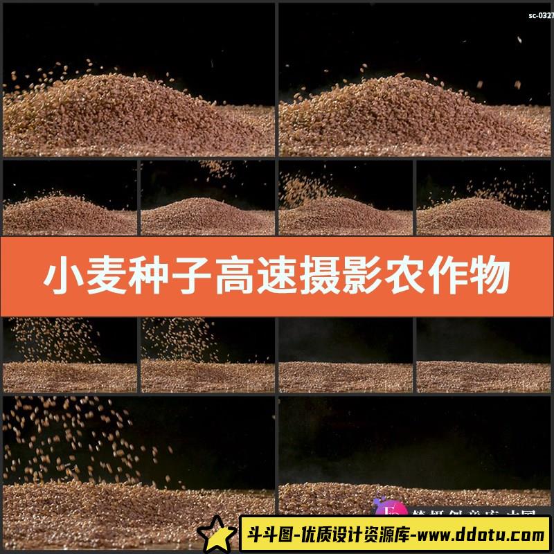 小麦种子高速农作物粮食麦粒实拍视频素材谷物麸麦子软粒浮麦-斗斗图