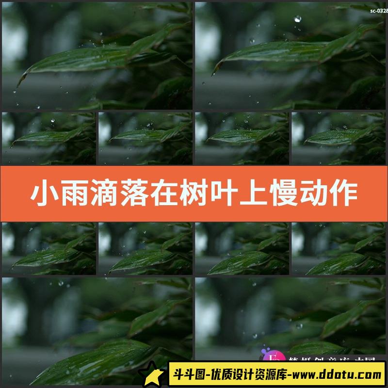 小雨滴落在树叶上慢动作延时视频素材雨水掉落绿叶子风景拍摄-斗斗图