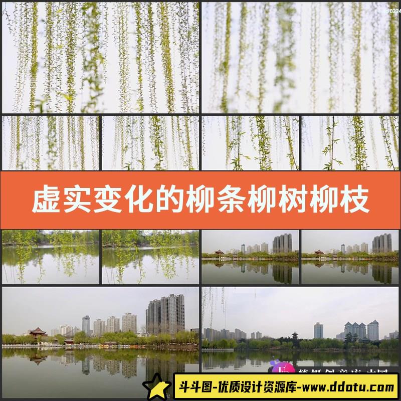 虚实变化的柳条实拍视频素材柳树柳枝柳叶摇曳湖畔美景湖水面倒影-斗斗图