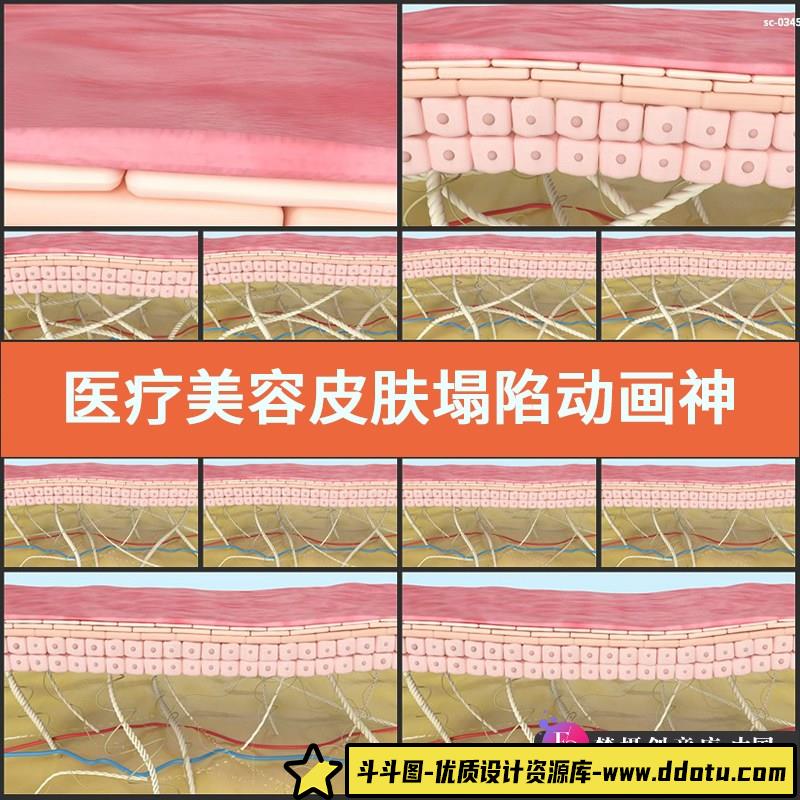 医疗美容皮肤塌陷动画视频素材神经细胞网状纤维老化胶原蛋白流失-斗斗图