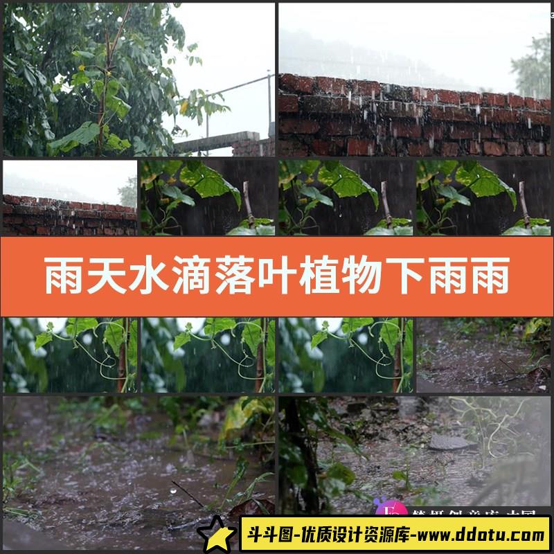 雨天水滴落叶植物视频素材实拍下雨雨滴雨水下落掉落地面绿植篱笆-斗斗图