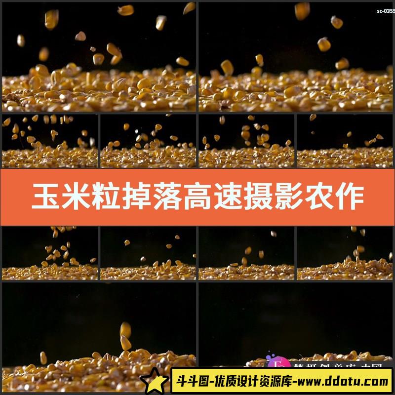 玉米粒掉落高速视频素材实拍农作物种子粮食谷物包米珍珠米粒-斗斗图