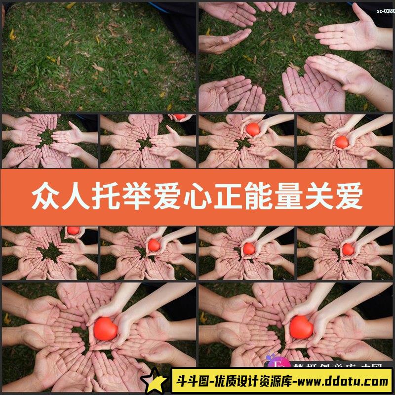 10组动物绿幕素材老虎狮子猫绿色背景绿屏画中画抠像特效合成视频-斗斗图