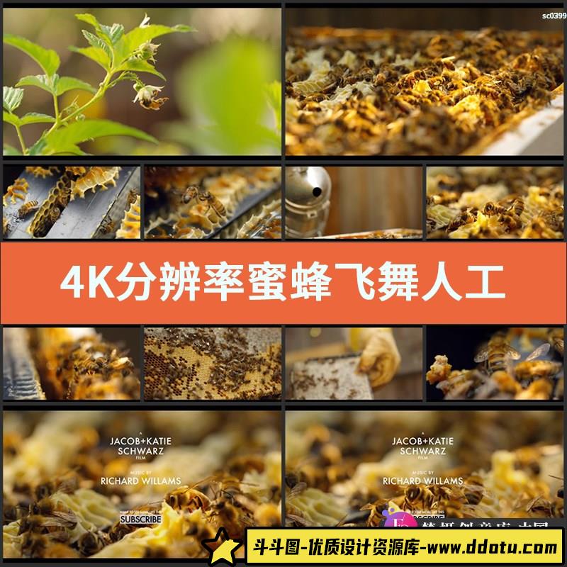 4K分辨率 蜜蜂飞舞 实拍人工采蜂蜜视频 养蜂 蜂巢 高清视频素材-斗斗图