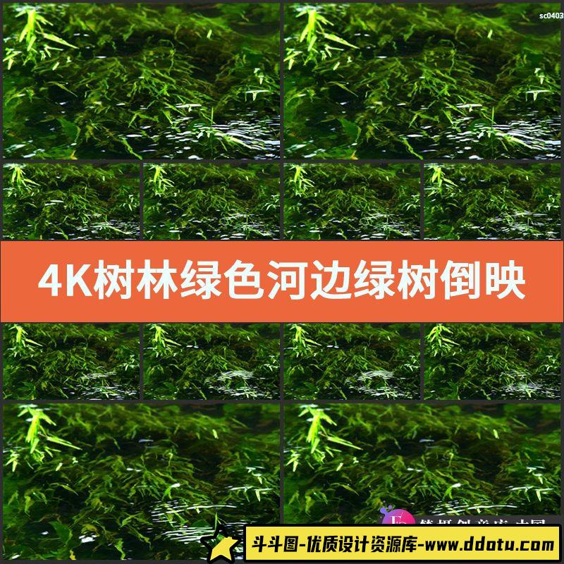 4K树林绿色河边绿树倒映 绿色树叶水中倒影 实拍视频素材-斗斗图
