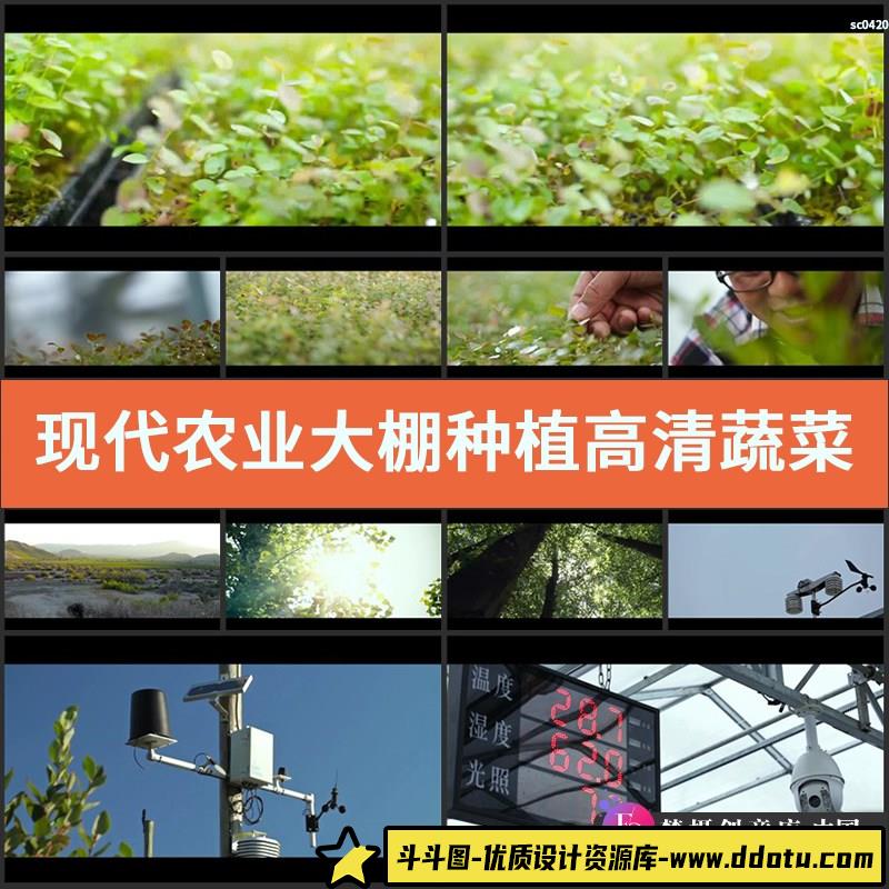 S106现代农业大棚种植高清视频素材蔬菜培育科技育苗-斗斗图