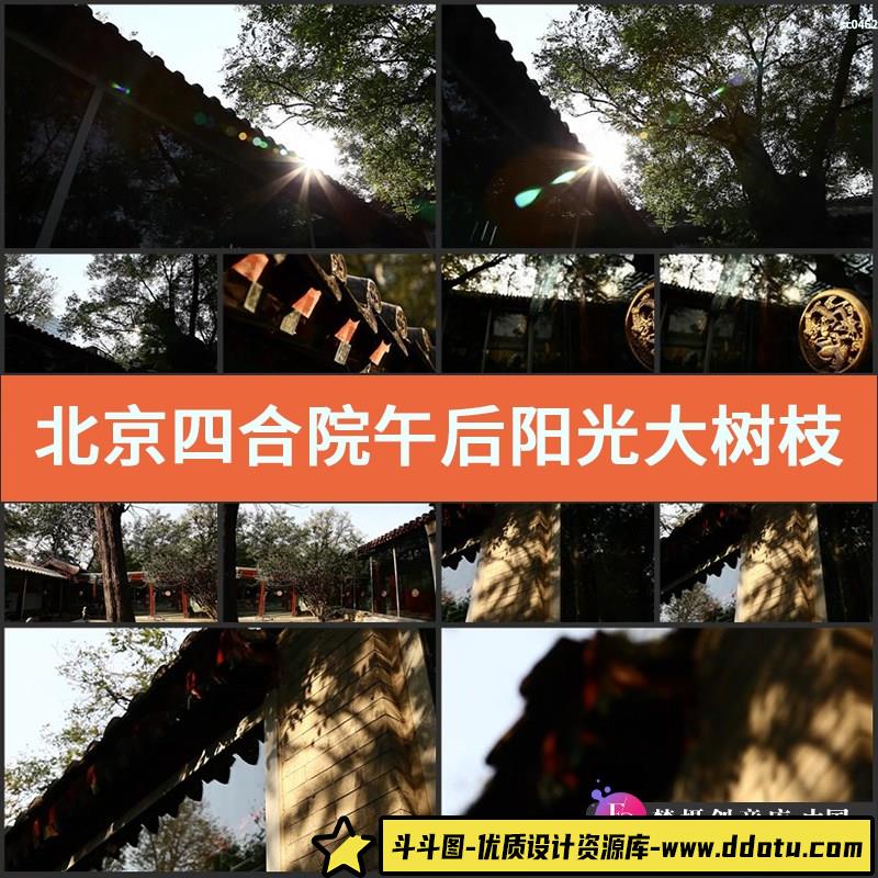 北京四合院 午后阳光 大树枝繁叶茂 屋檐特写 高清实拍视频素材-斗斗图