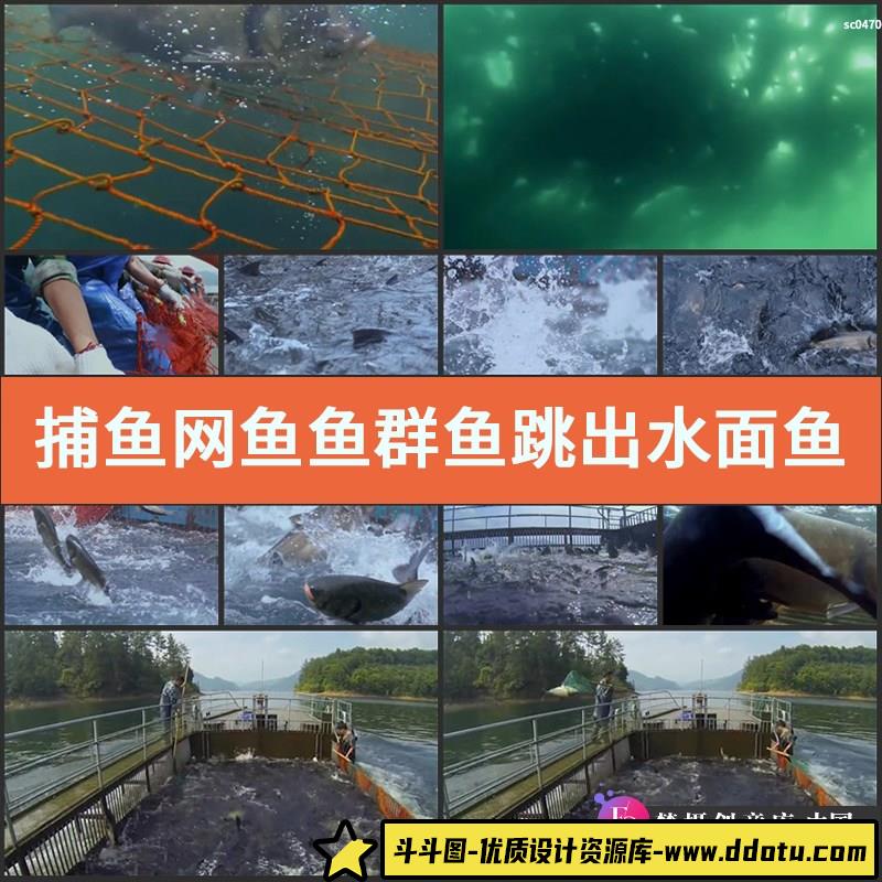 捕鱼网鱼鱼群鱼跳出水面鱼跃出水面渔业高清实拍视频素材-斗斗图
