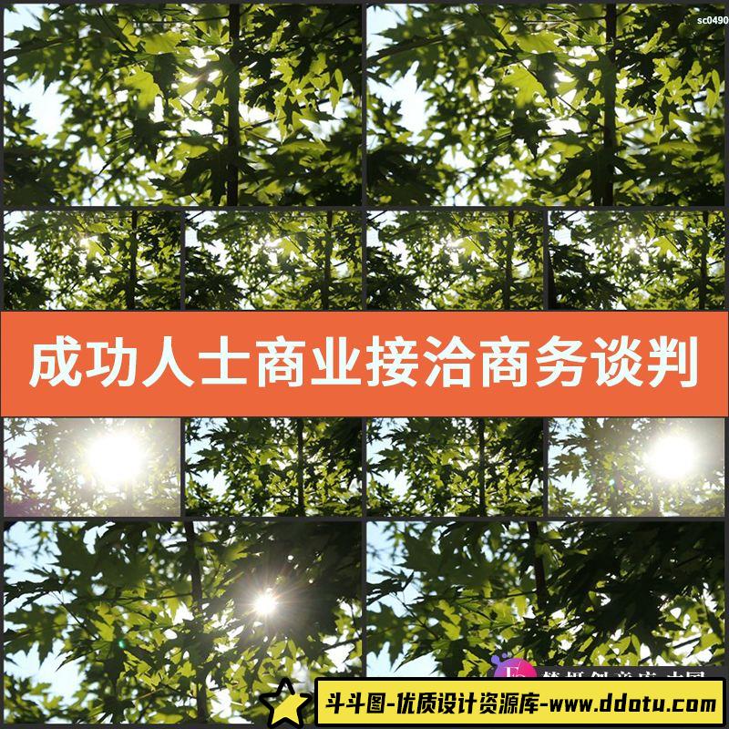 成功人士商业接洽商务谈判商务办公视频素材-斗斗图
