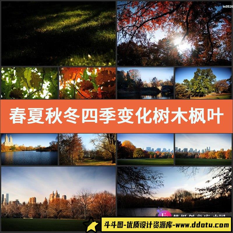 春 夏 秋 冬 四季变化树木枫叶美景醉人高清视频素材-斗斗图