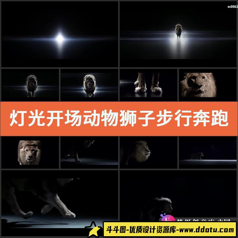 灯光开场动物狮子步行奔跑王者风范企业宣传片头高清实拍视频素材-斗斗图