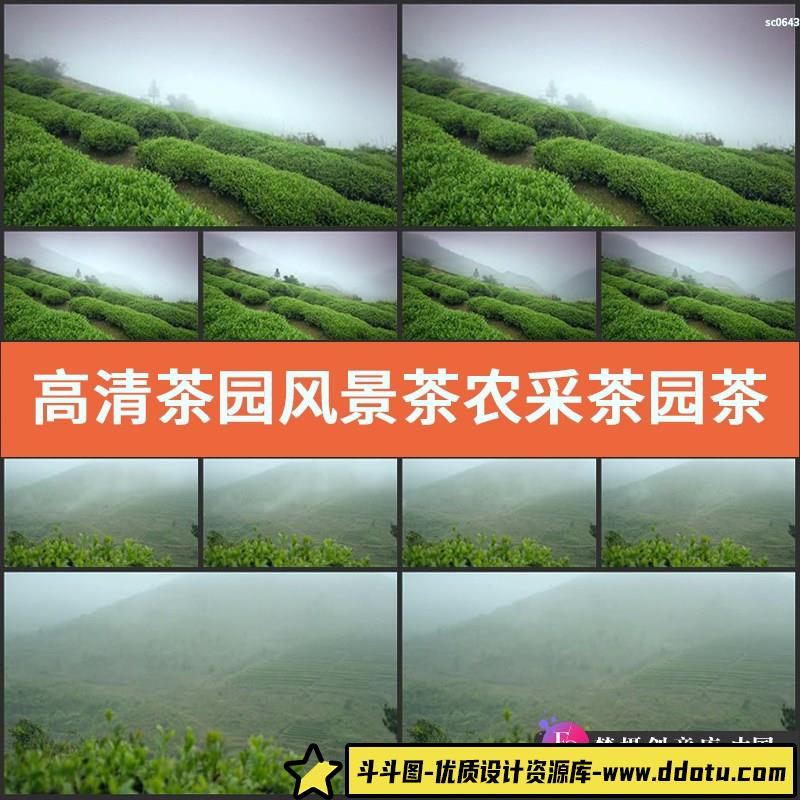 高清茶园风景 茶农采茶园茶山风光镜头 实拍视频宣传片动态素材-斗斗图
