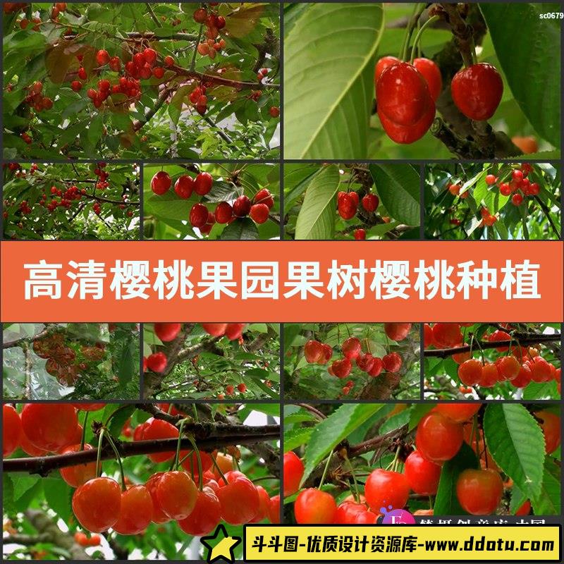 高清实拍云南民族乡村麦地农村民辛勤劳作宣传片田园生活视频素材-斗斗图