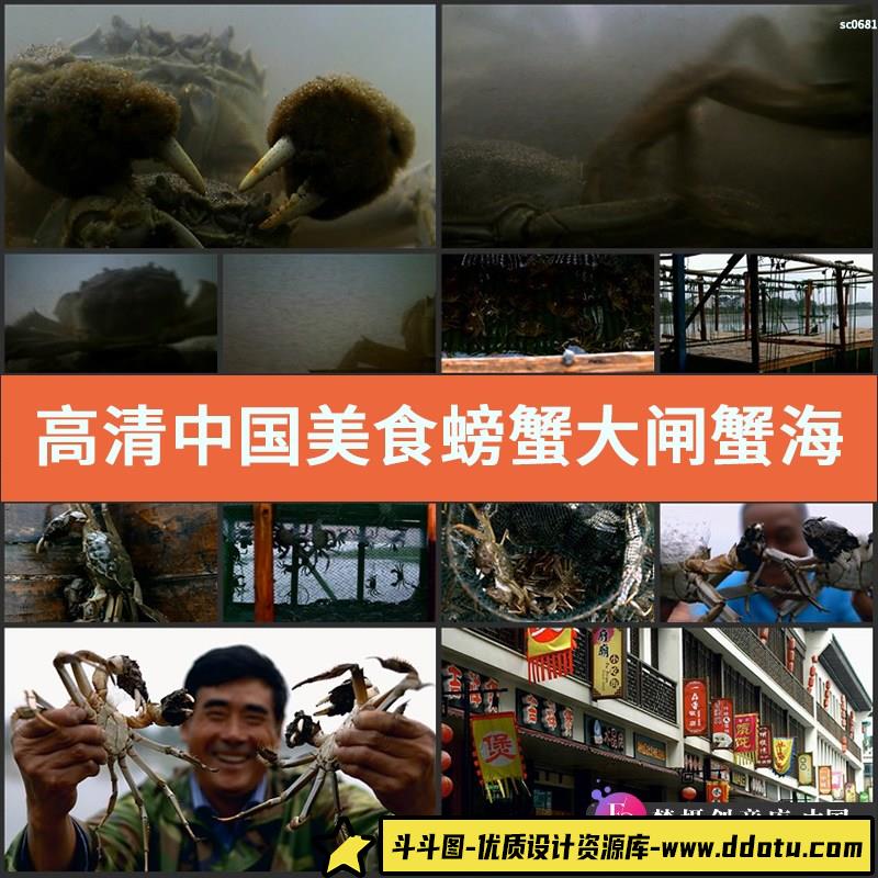 高清实拍中国美食螃蟹 大闸蟹 海蟹 河蟹 美食类视频素材-斗斗图