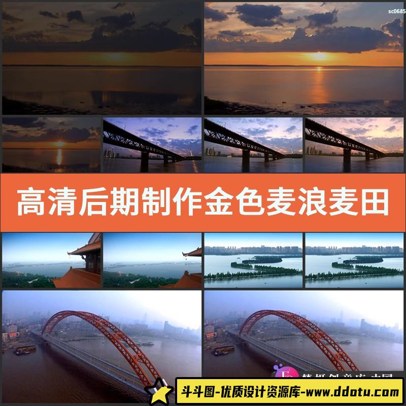 高清视频素材后期制作金色麦浪麦田LED背景粒子大气黄金麦子-斗斗图