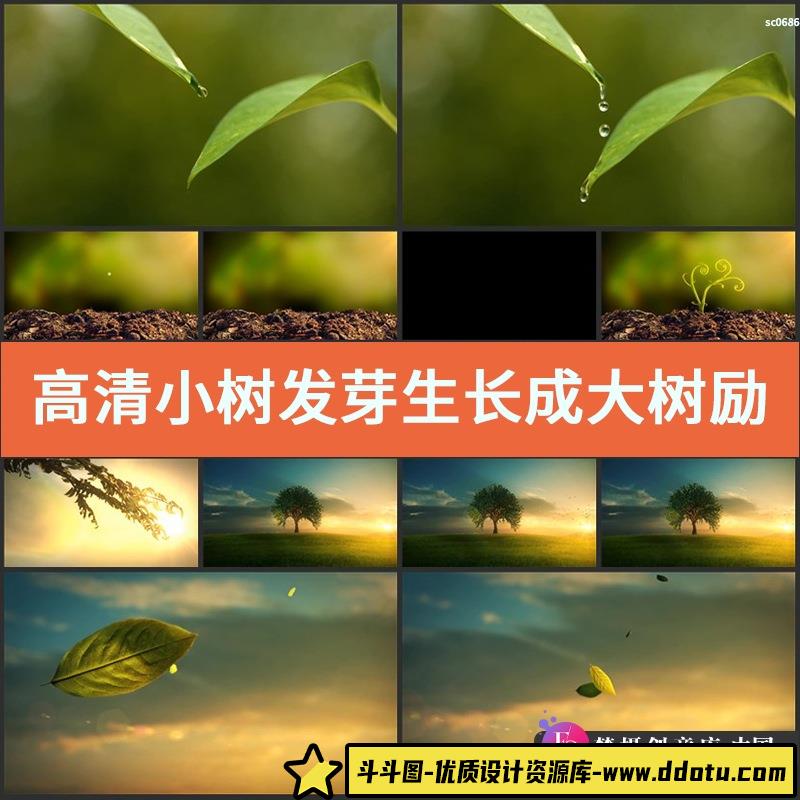 高清小树发芽生长成大树励志成长生命伟大微电影延时拍摄视频素材-斗斗图