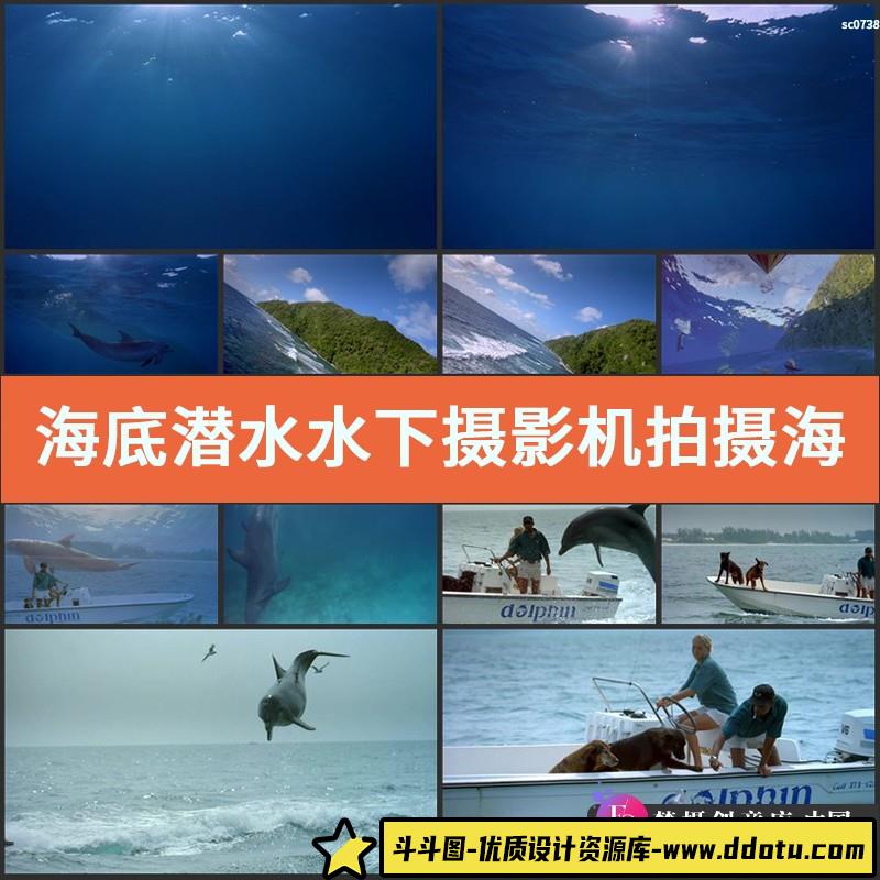 海底潜水水下摄影机拍摄海豚鱼群画面纪录片高清实拍视频素材.wmv-斗斗图