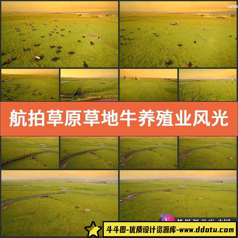 航拍草原草地牛养殖业风光草原牛羊风景高清实拍视频素材-斗斗图