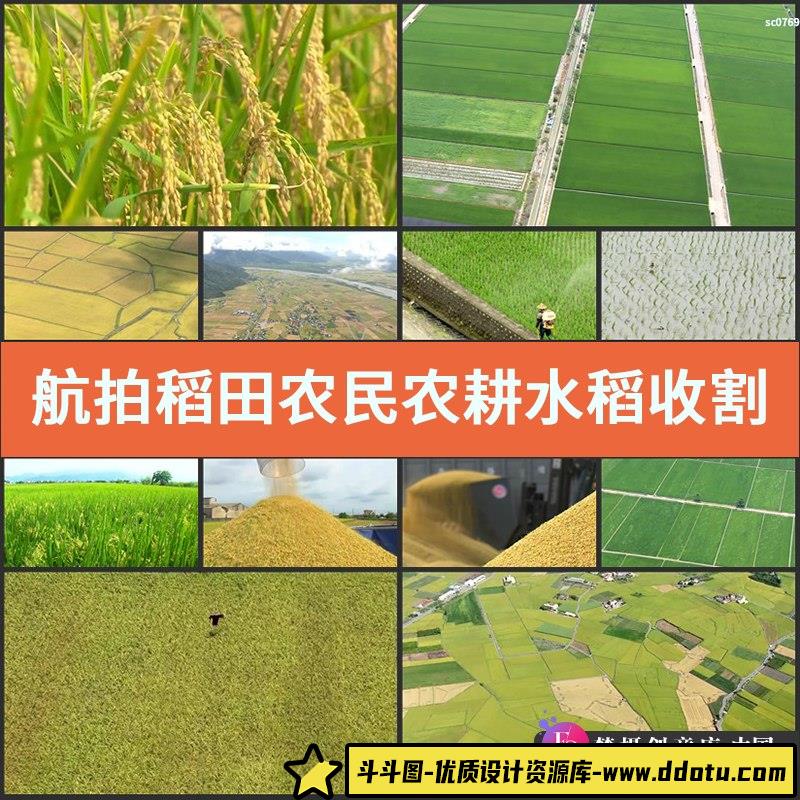 航拍稻田农民农耕水稻收割丰收新农村台湾农业类高清实拍视频素材-斗斗图