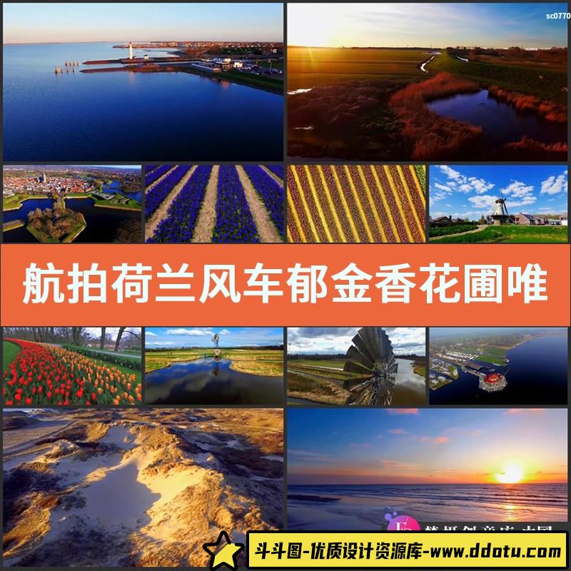 航拍荷兰风车郁金香花圃唯美风光片高清实拍视频素材-斗斗图